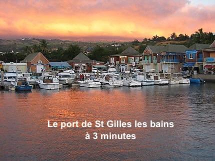 Prana Lodge Saint Gilles Les Bains 800 M De La Plage Dış mekan fotoğraf